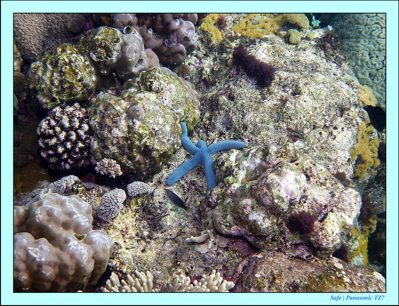 2012 - 07 - Apoh Island 06